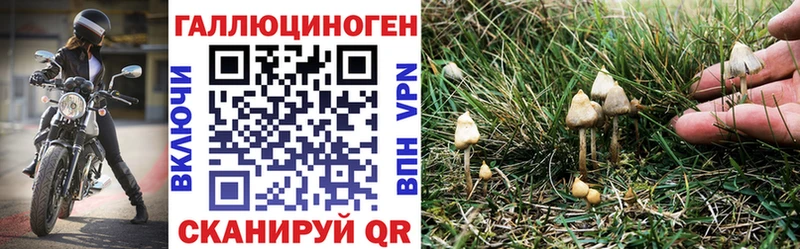 Псилоцибиновые грибы MAGIC MUSHROOMS  Бийск 